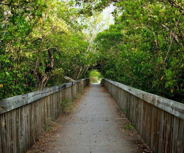 A wooden pathway leads through lush green foliage, flanked by a wooden railing and overhanging branches, creating a serene, natural tunnel effect.