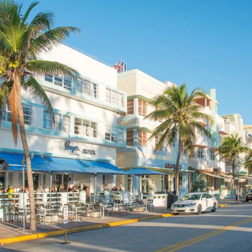 A sunny street scene features palm trees, a row of art deco buildings with shops and cafes, parked cars, and a clear blue sky.