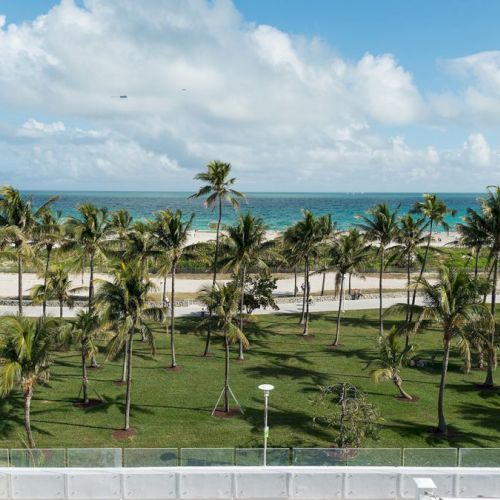 The image shows a tropical beach scene with palm trees, a road, and an ocean in the background under a partly cloudy sky.