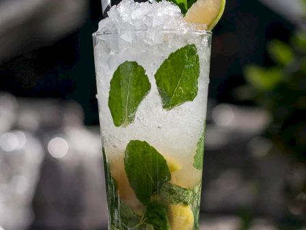 A tall glass filled with a refreshing cocktail, featuring mint leaves, lime wedges, and crushed ice, garnished with a lime slice and mint.